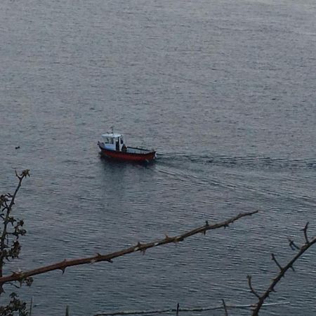 Greencastle Kilkeel Dış mekan fotoğraf