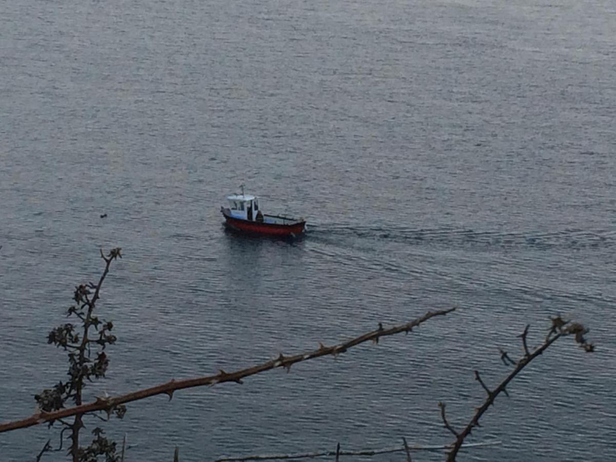 Greencastle Kilkeel Dış mekan fotoğraf